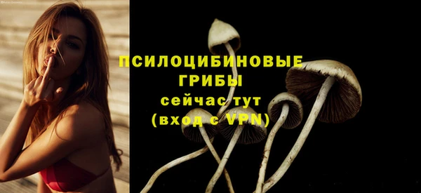 прущий лед Беломорск