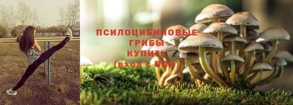 apvp Балахна